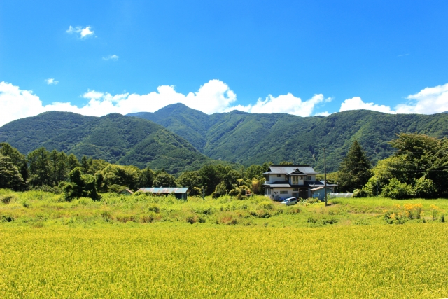 <軽井沢日帰り><br />高原リゾートでゆったり♪<br />お得な街あるきクーポン付!